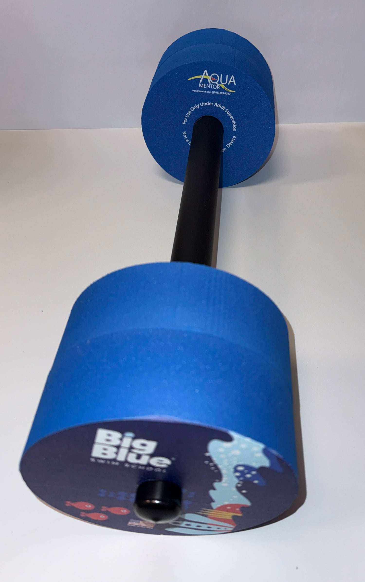 Big Blue Swim School 31