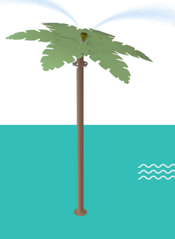 Palm Tree