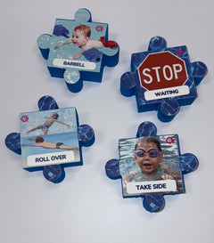Aquamentor-Swim Angelfish PECs Puzzle 6