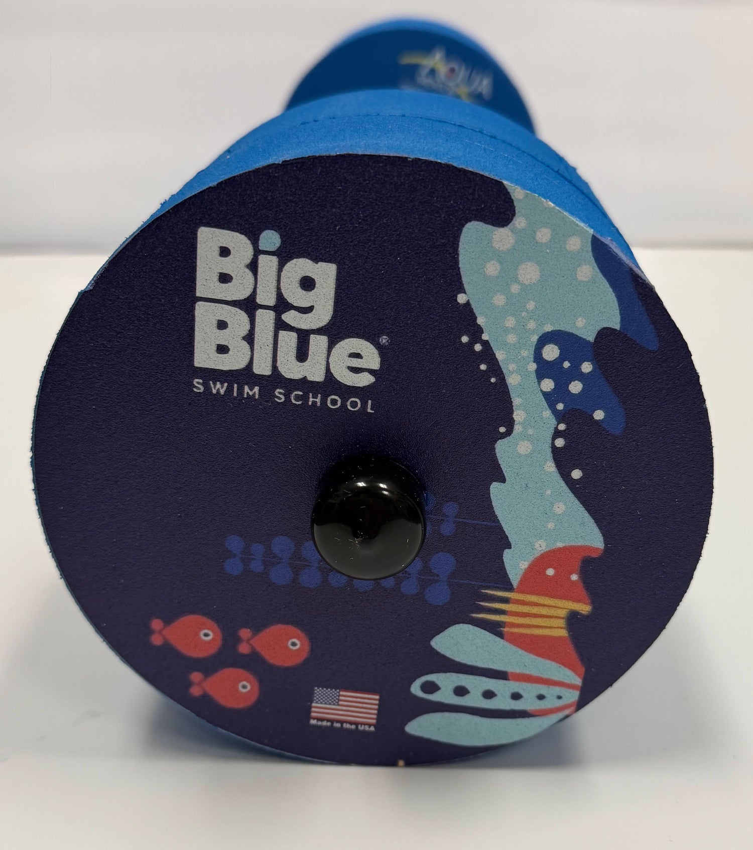 Big Blue Swim School 31