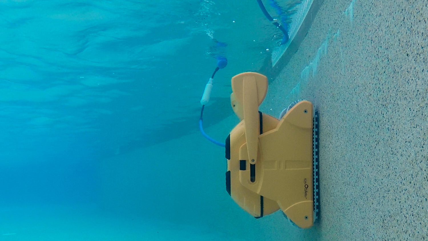 Dolphin Wave 100 Robotic Pool Cleaner